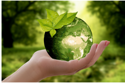 image for Environmental Well-Being